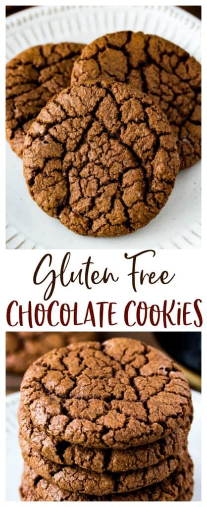 Gluten Free Basic Chocolate Cookies - Delicious Little Bites