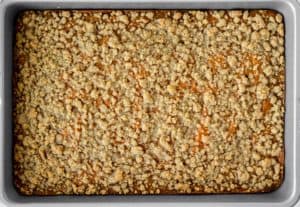 A baked pumpkin spice coffee cake in a baking pan