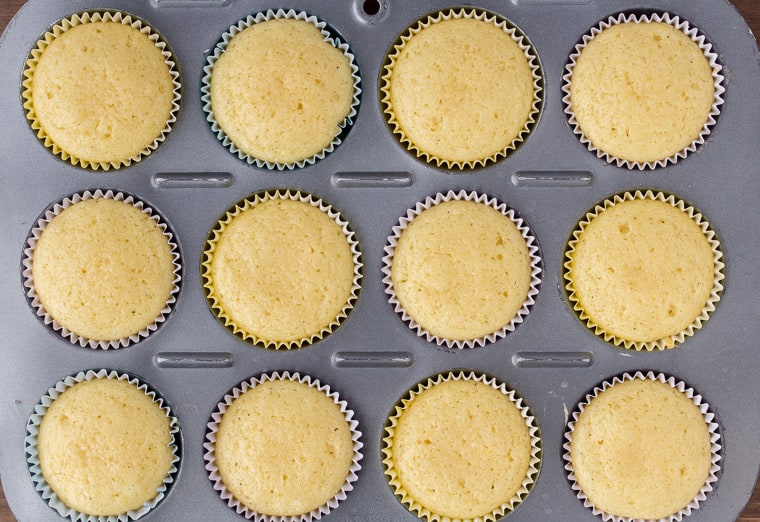 12 Baked vanilla cupcakes in a cupcake pan