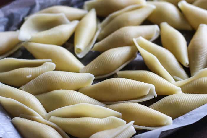 Large cooked pasta shells close up