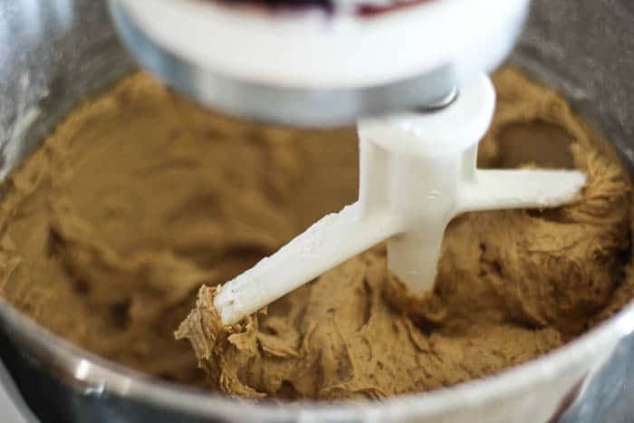 Close up of Cookie Dough in Mixer
