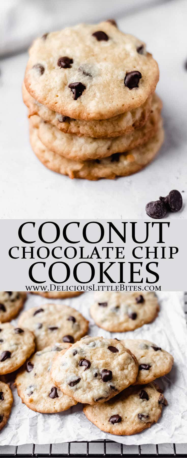 Chocolate Chip Coconut Cookies - Delicious Little Bites