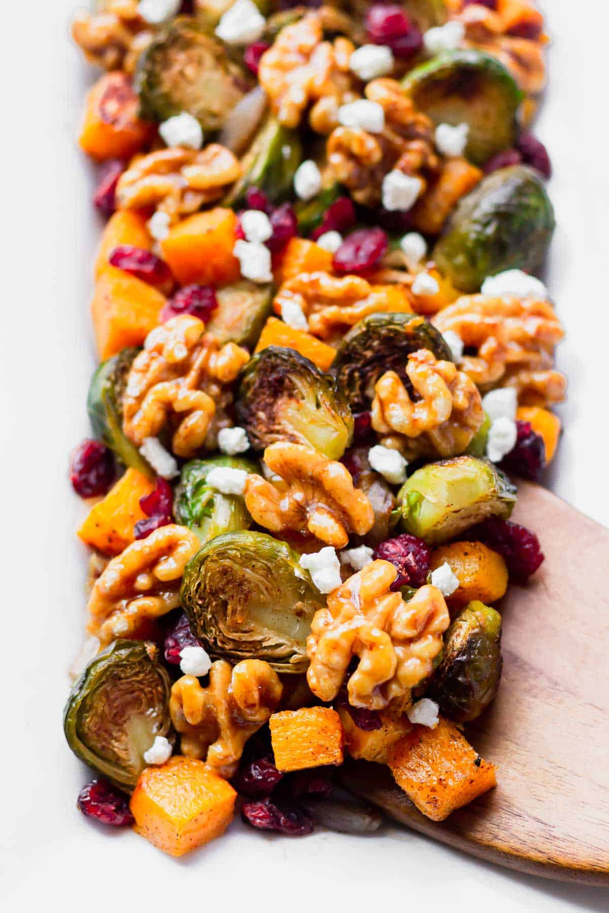 Close up of roasted fall vegetables with cranberries and walnuts on a white plate with a wood turner under some