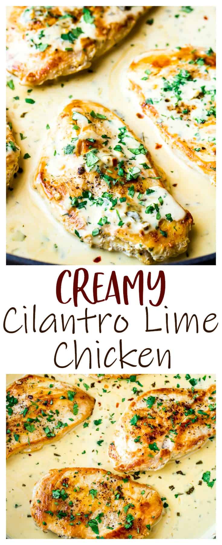 Creamy Cilantro Lime Chicken - Delicious Little Bites