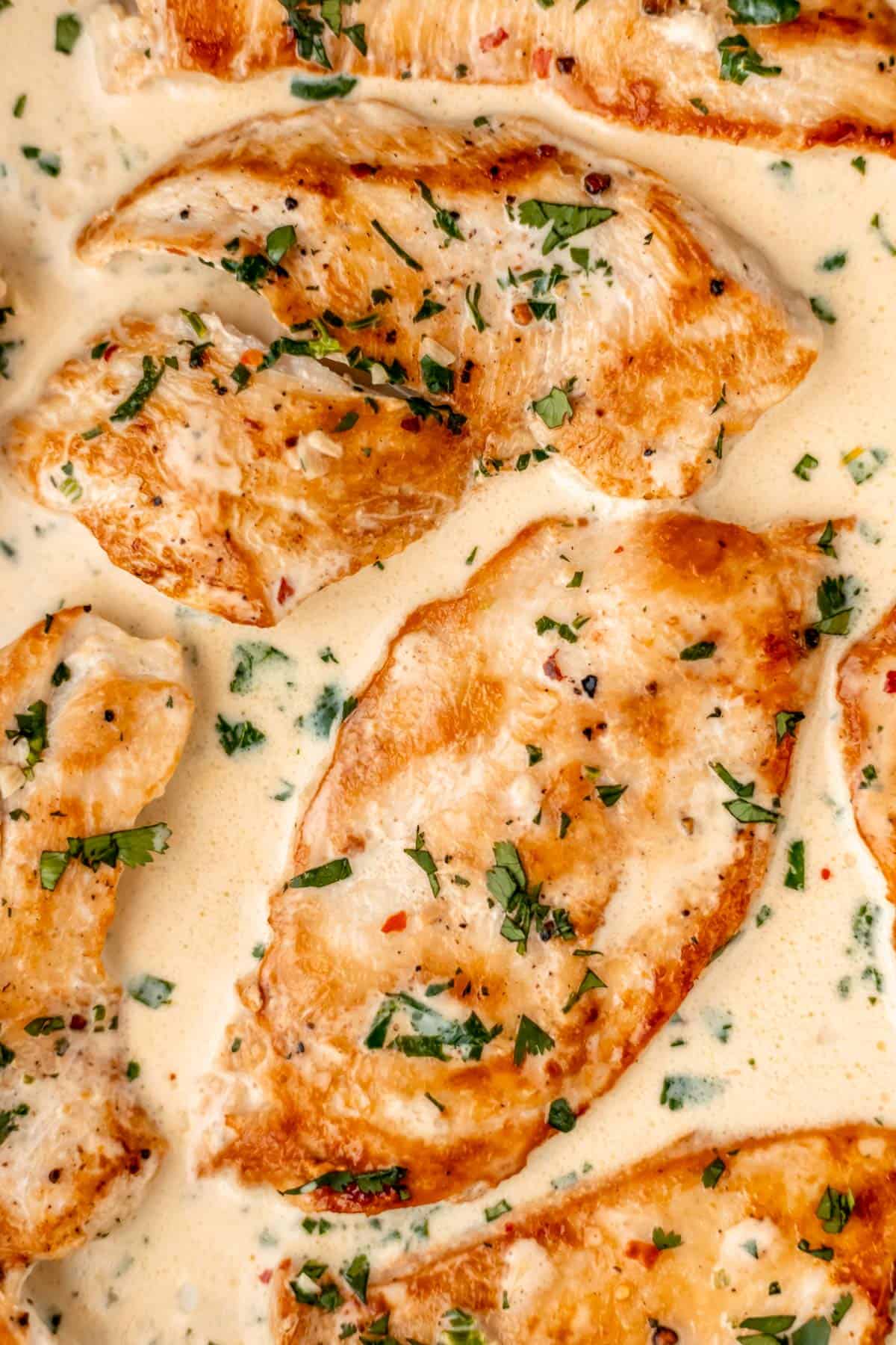 Close up of creamy cilantro lime chicken breasts in sauce.