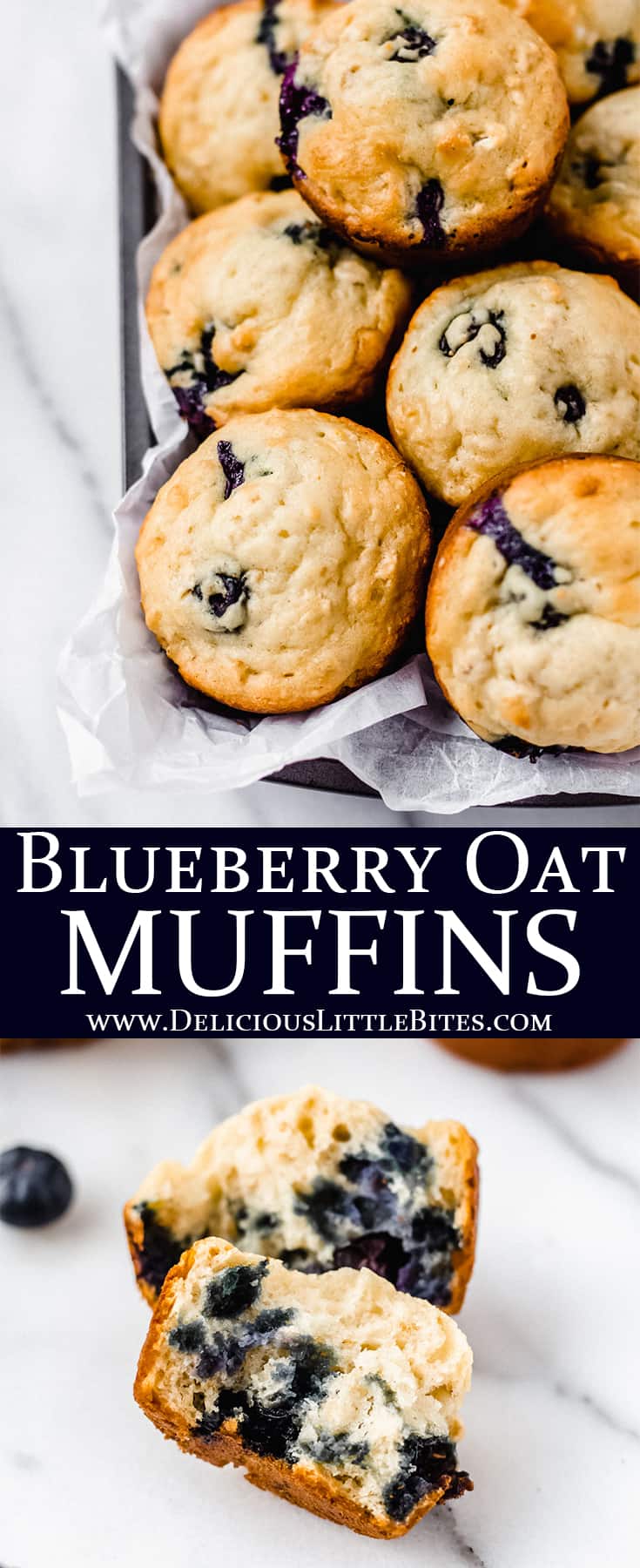 Blueberry Oat Muffins - Delicious Little Bites