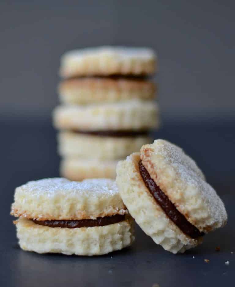Vegan Chocolate Coconut Cookies stacked on top of each other with a gray background