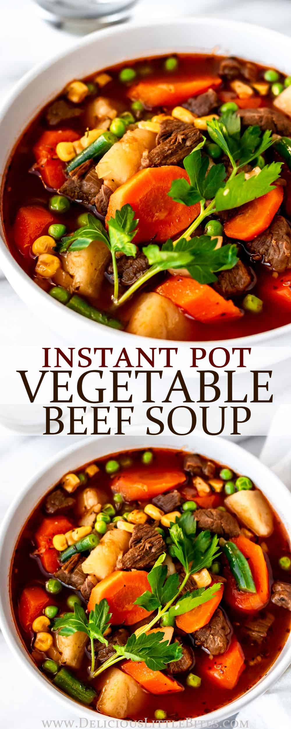 Instant Pot Vegetable Beef Soup - Delicious Little Bites