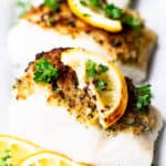 Close up of cod fillets with crispy breadcrumbs on top with lemon slices and fresh parsley all around