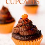 Mini Chocolate halloween cupcakes on a white background with text overlay