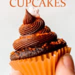 Mini Chocolate halloween cupcakes on a white background with text overlay