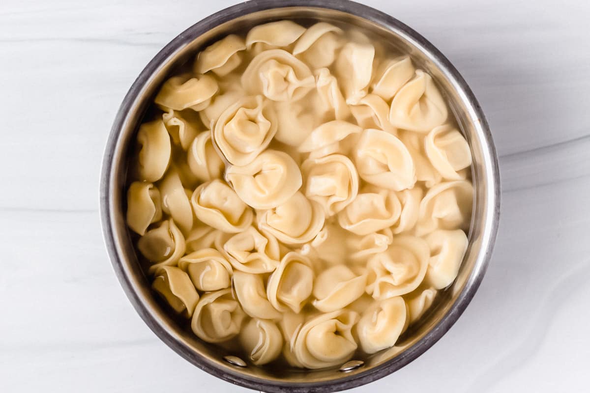 Tortellini cooked in a silver pot over a white background