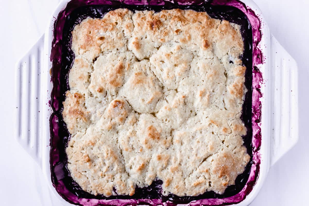 Baked blueberry cobbler in a white baking dish
