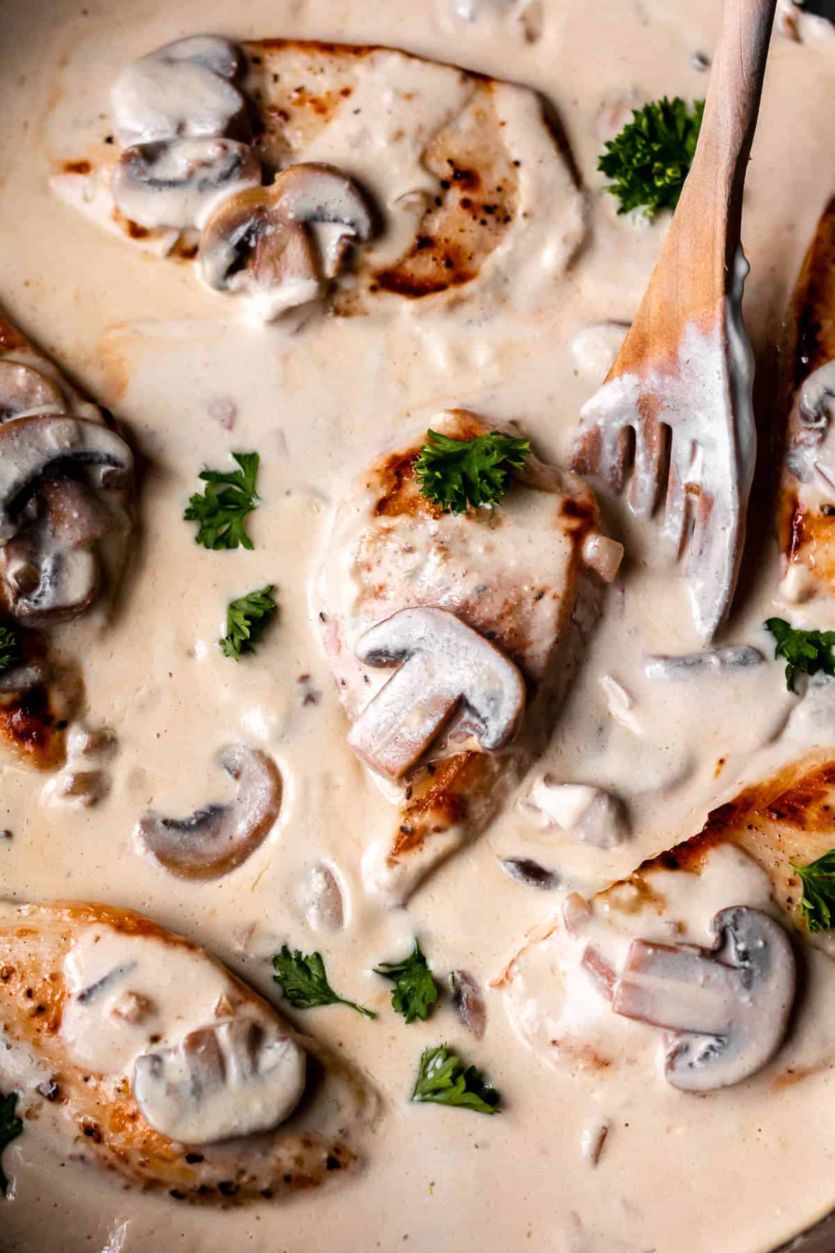 Close up of chicken stroganoff and a wood spoon