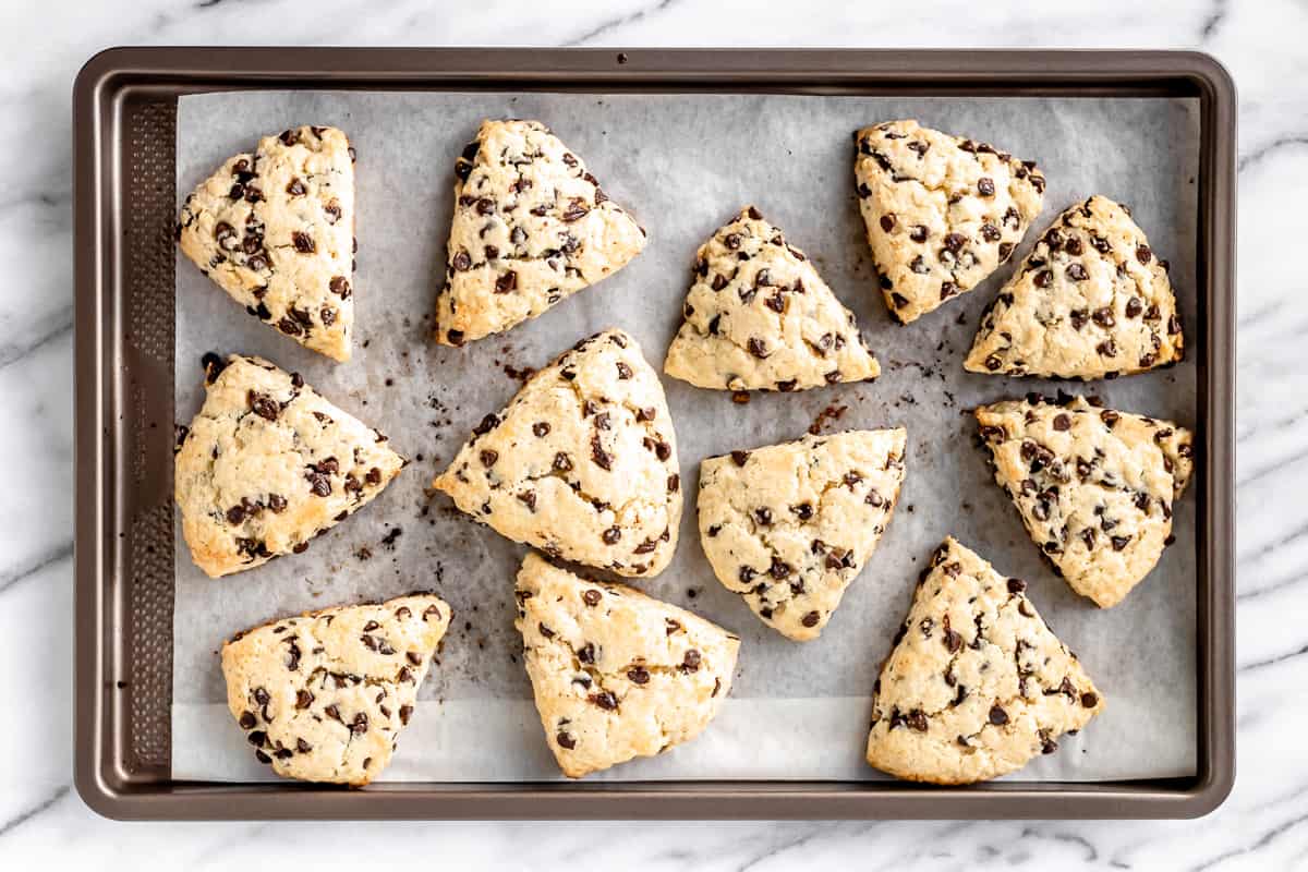 12 baked chocolate chip scones on a parchment paper lined baking sheet.