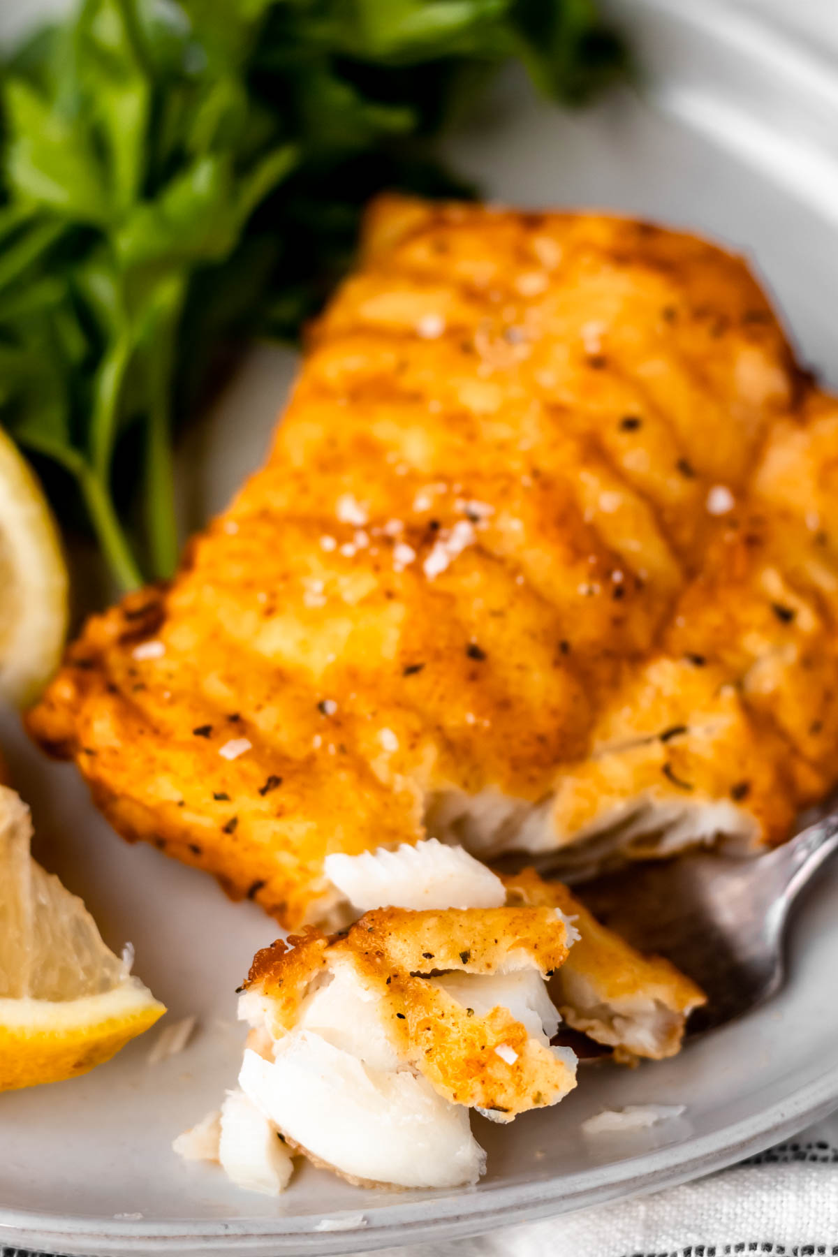 Close up of fried cod with some flaked off on a fork.