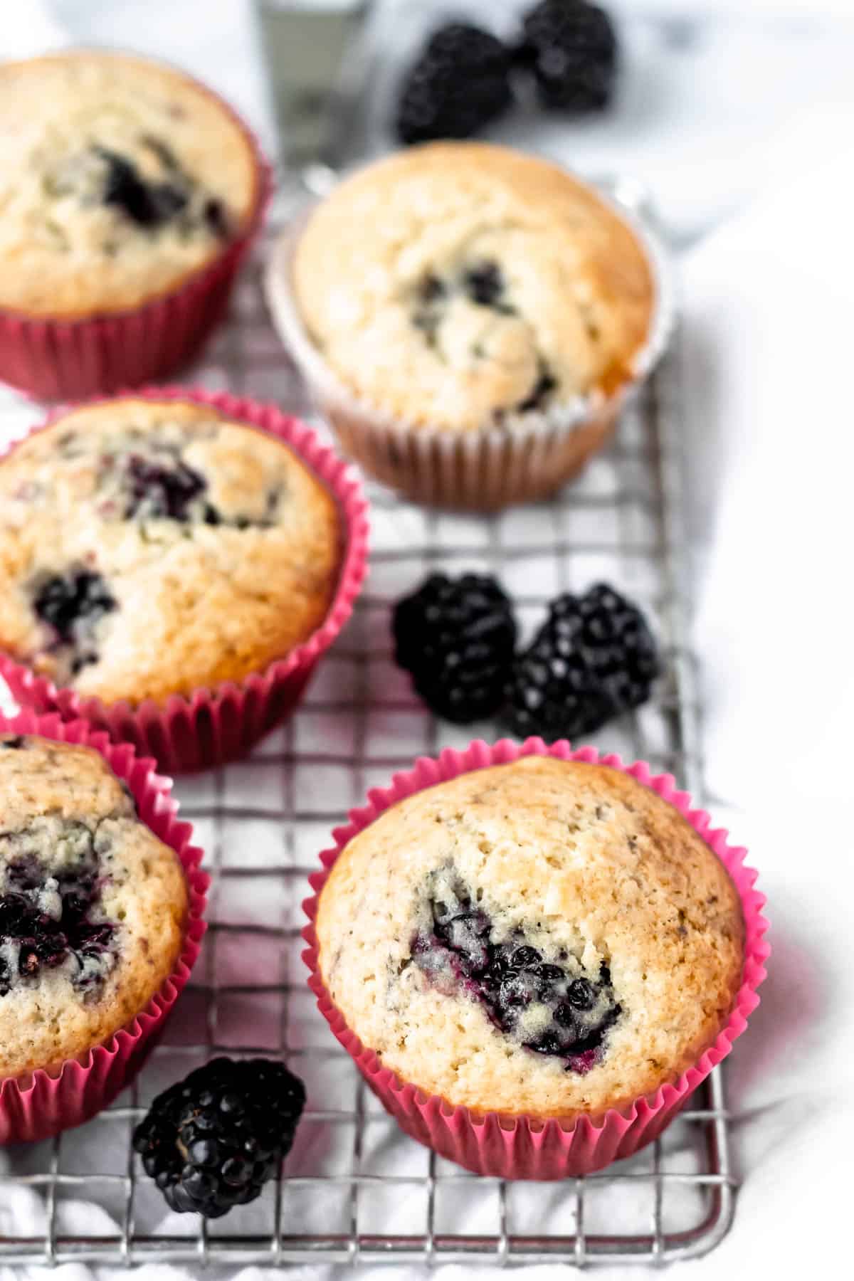 Blackberry muffins on a cooling rack with extra blackberries around them.