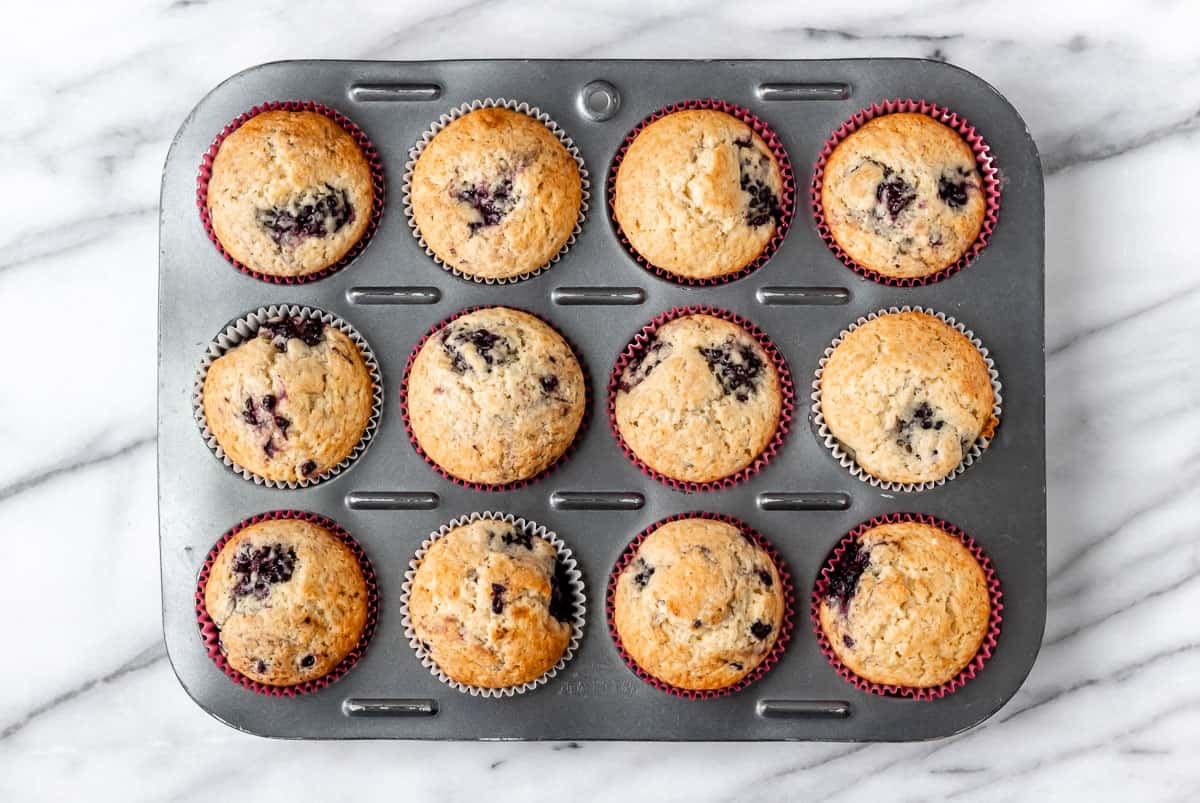 Baked blackberry muffins in a muffin tin.