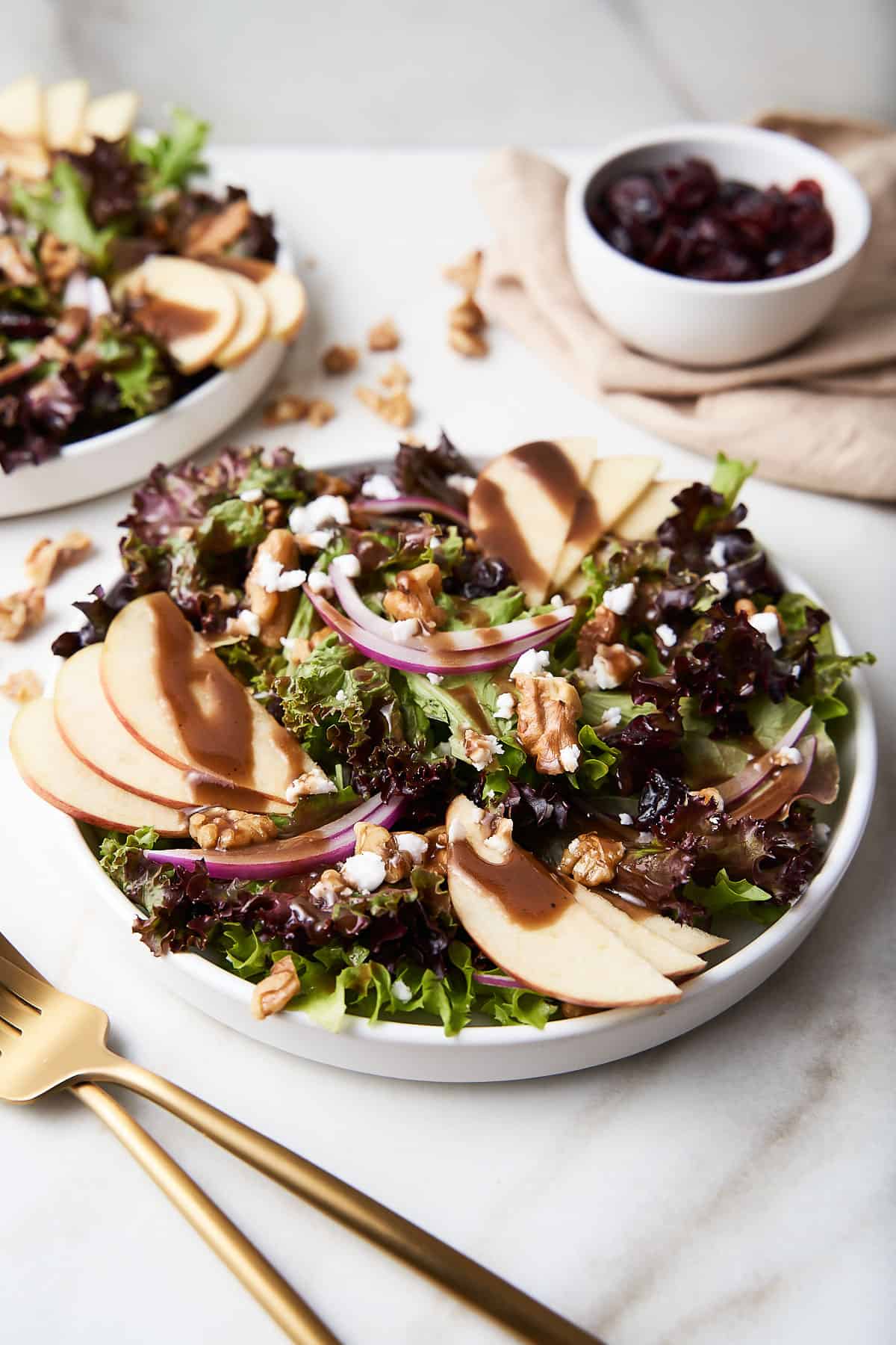 Apple walnut salad on a white bowl with a second salad, a bowl of cranberries and silverware around it.