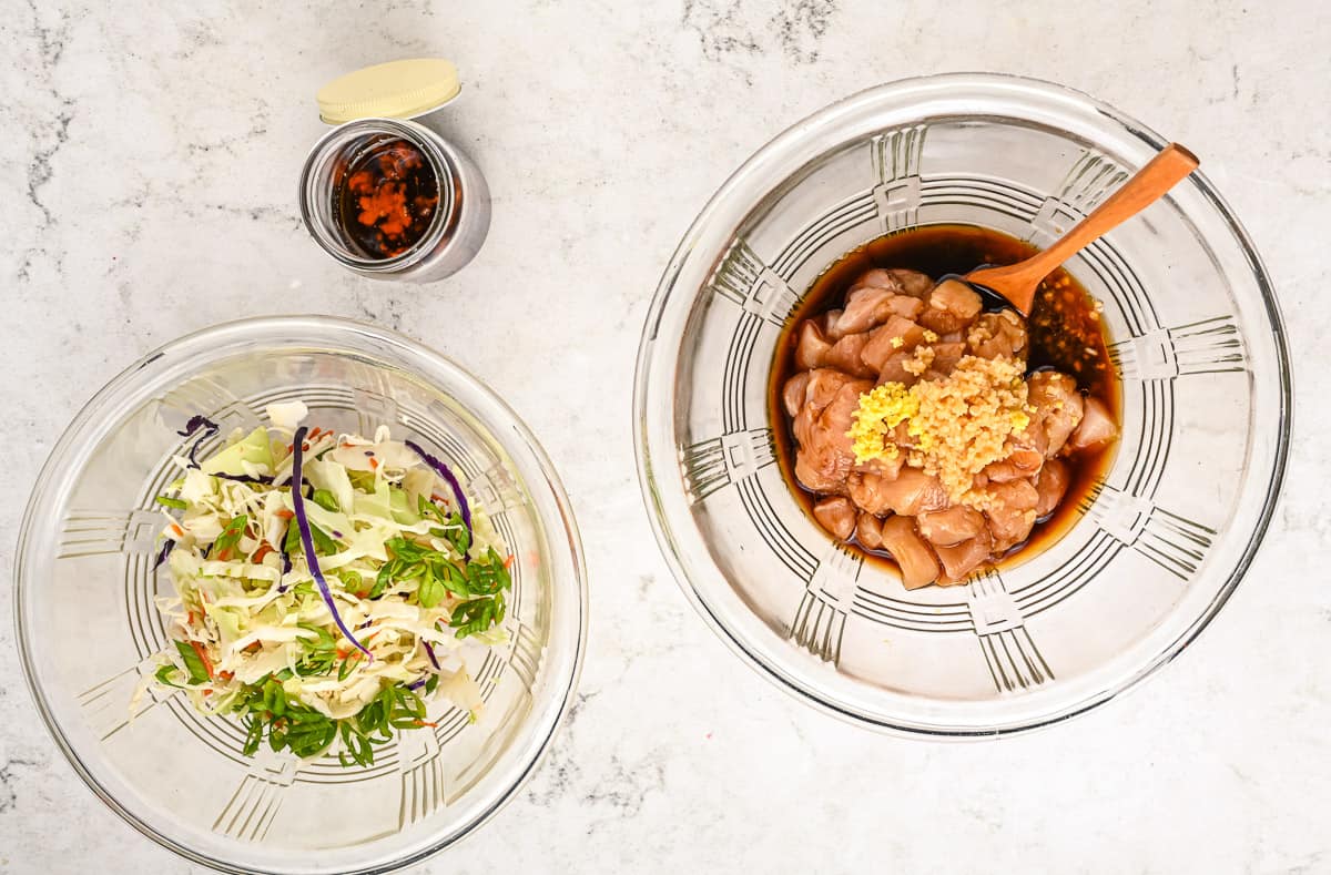 Chicken marinating in one bowl and cabbage slaw in another.