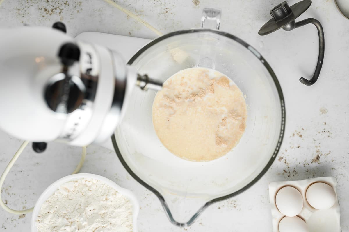 Yeast and milk in a mixer bowl.