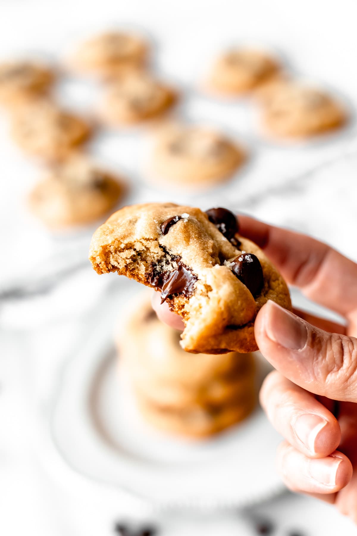 A hand holding up a dark chocolate chip cookie with a bite taken out of it and more cookies in the background.