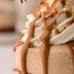 Close up of a mini Biscoff cheesecake with text overlay.