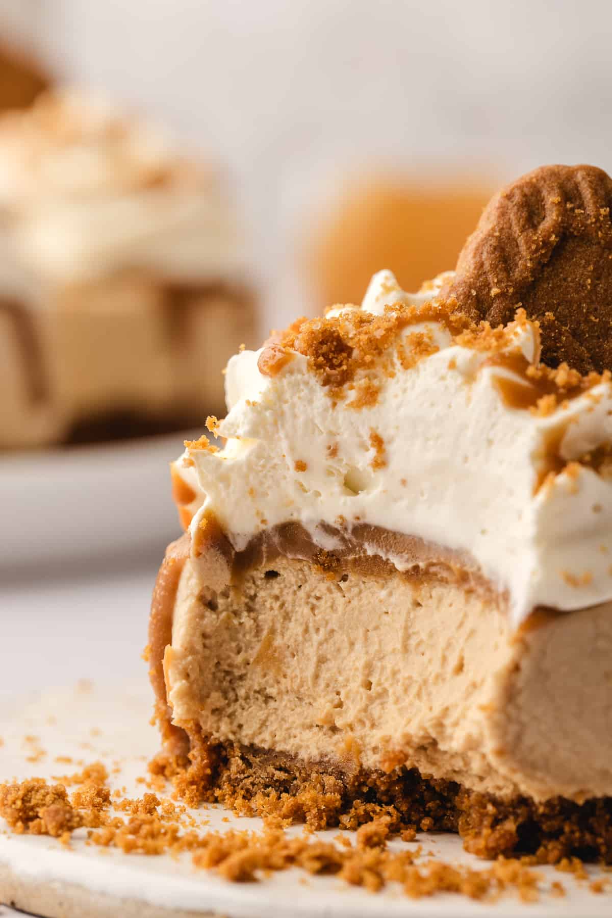 Close up of a mini Biscoff cheesecake with a bite taken out of it to show the inside.