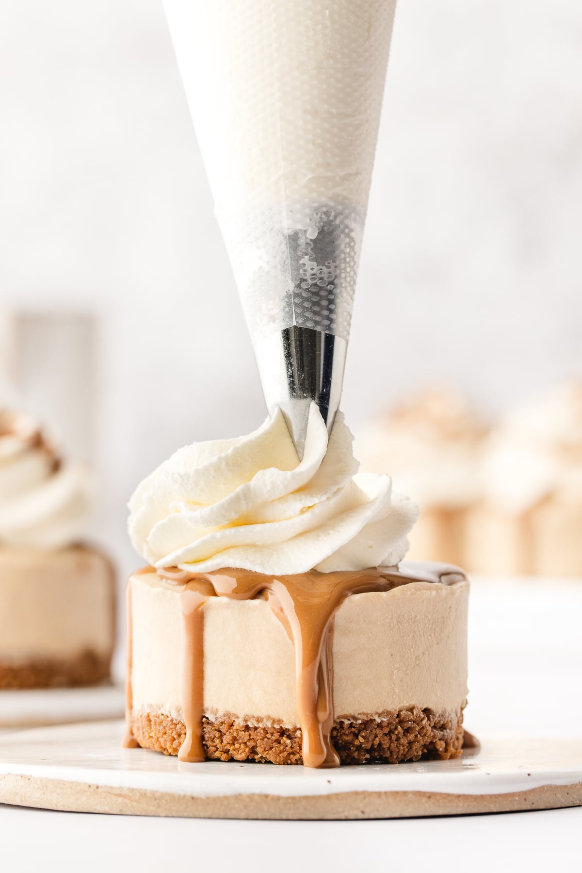 Whipped cream being piped over a mini Biscoff cheeseacke.