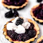 A blackberry tartlet topped with whipped cream and a blackberry with other mini tarts partially showing around it with text overlay.
