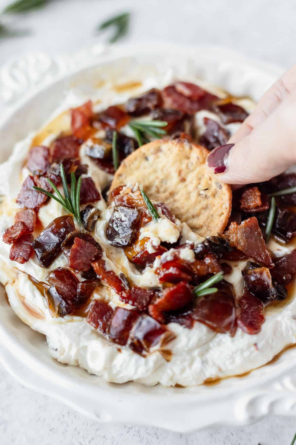 Close up of a cracker being dipped into whipped goat cheese with maple bacon and dates.
