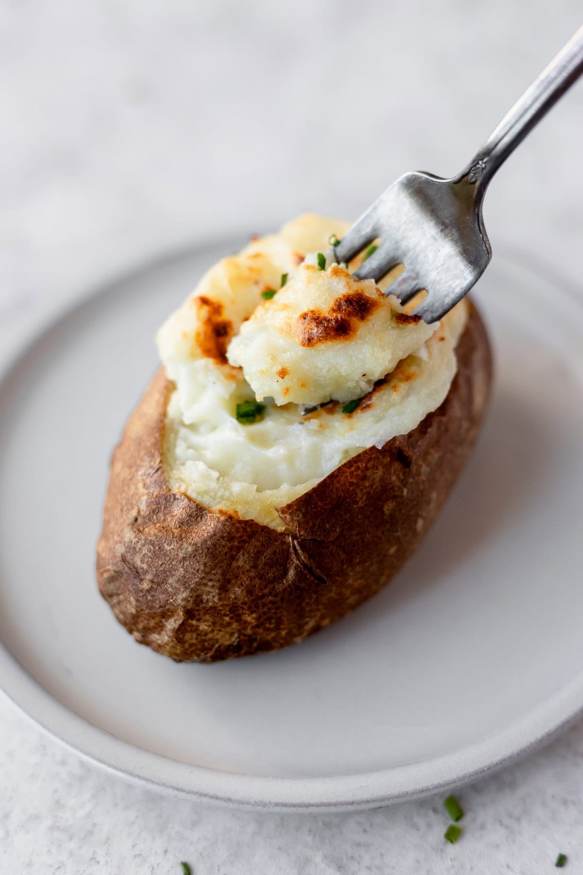 A fork with some sour cream and chive twice baked potato on it being held up over a potato on a white plate.