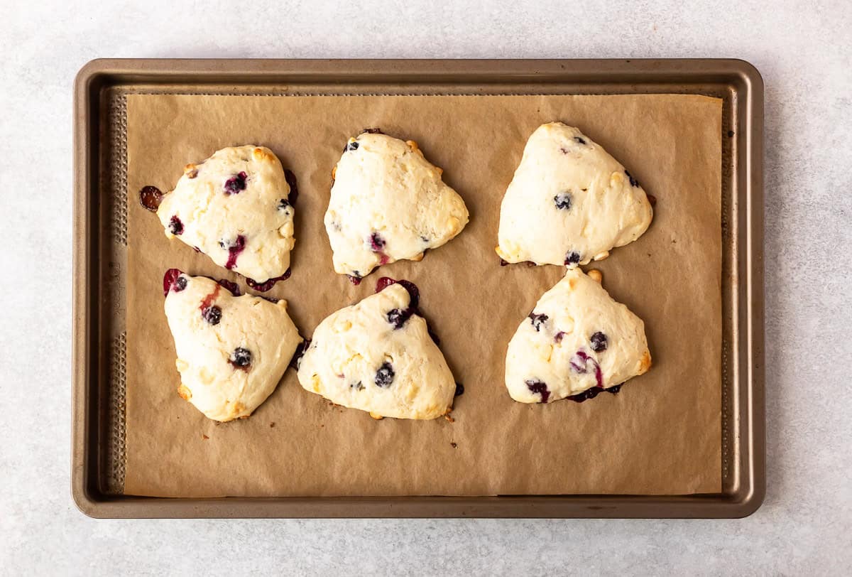 6 baked blueberry white chocolate scones on a parchment paper line baking sheet.